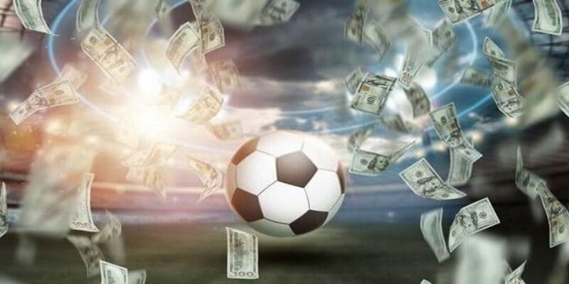 Các Lời Khuyên Khi Tham Gia Trụ Sở Chính H3bet