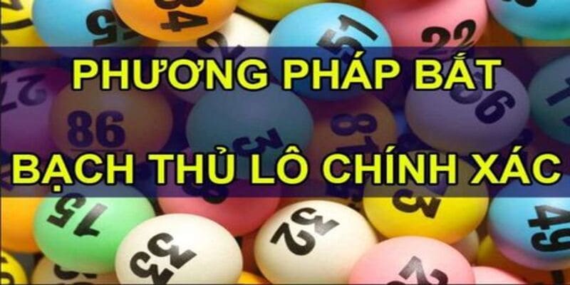Cách Thực Hiện Bạch Thủ Lô